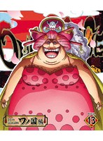 ONE PIECE ワンピース 20THシーズン ワノ国編 PIECE.13 （ブルーレイディスク）