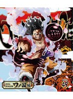 ONE PIECE ワンピース 20THシーズン ワノ国編 PIECE.49 （ブルーレイディスク）