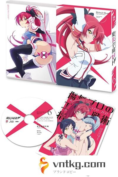 魔装学園H×H 第6巻（限定版）