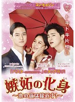 嫉妬の化身～恋の嵐は接近中！～ DVD-BOX3