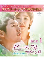 ビューティフル・マインド～愛が起こした奇跡～ BOX1（全2BOX） ＜コンプリート・シンプルDVD-BOX5，000...