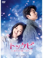 トッケビ～君がくれた愛しい日々～ DVD-BOX1 （初回限定生産）