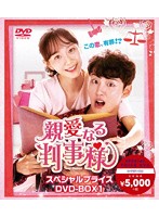親愛なる判事様 スペシャルプライス DVD-BOX1