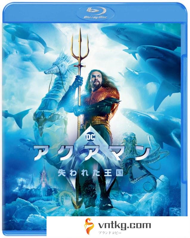 アクアマン/失われた王国 ブルーレイ＆DVDセット（2枚組） アクリルキーホルダー2種セット付限定版（Blu-ray Disc＋DVD） （ブルーレイディスク）