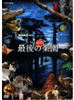 NHKスペシャル ホットスポット 最後の楽園 DVD-BOX