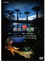 NHKスペシャル ホットスポット 最後の楽園 DVD-DISC 1