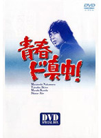青春ド真中！DVD-BOX