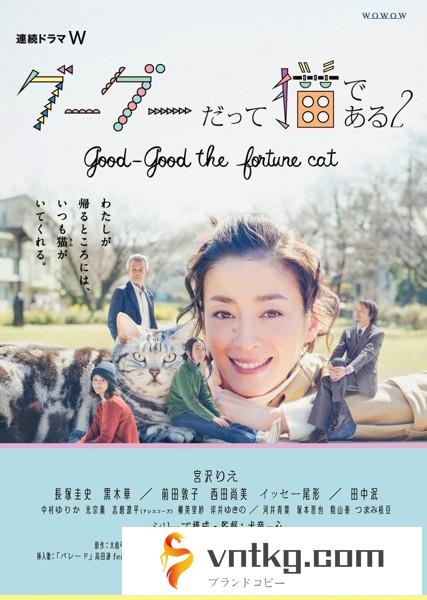 連続ドラマW グーグーだって猫である2-good good the fortune cat- DVD BOX