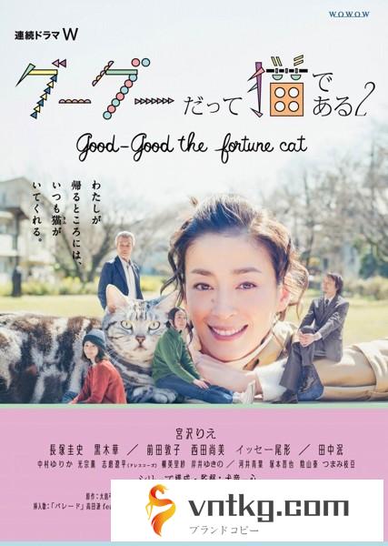 連続ドラマW グーグーだって猫である2-good good the fortune cat- Blu-ray BOX （ブルーレイディスク）