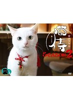 ドラマ「猫侍 SEASON2」 DVD-BOX