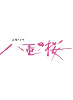 八重の桜 完全版 第弐集 DVD-BOX