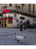 岩合光昭の世界ネコ歩き キューバ・ハバナ （ブルーレイディスク）