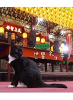岩合光昭の世界ネコ歩き 台湾 （ブルーレイディスク）