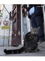 岩合光昭の世界ネコ歩き シチリア （ブルーレイディスク）