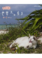 岩合光昭の世界ネコ歩き 沖縄 （ブルーレイディスク）