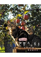 岩合光昭の世界ネコ歩き 津軽の四季 （ブルーレイディスク）