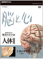 NHKスペシャル 驚異の小宇宙 人体II 脳と心 第2集 脳が世界をつくる～知覚～