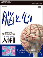 NHKスペシャル 驚異の小宇宙 人体II 脳と心 第3集 人生をつむぐ臓器～記憶～