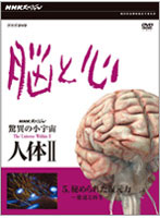 NHKスペシャル 驚異の小宇宙 人体II 脳と心 第5集 秘められた復元力～発達と再生～