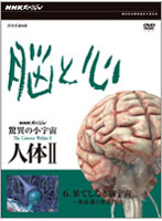 NHKスペシャル 驚異の小宇宙 人体II 脳と心 第6集 果てしなき脳宇宙～無意識と創造性～