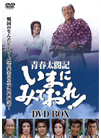 青春太閤記 いまにみておれ！DVD-BOX