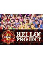 Hello！Project 誕生15周年記念ライブ 2013 冬 ～ブラボー！～