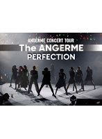 アンジュルム CONCERT TOUR-The ANGERME- PERFECTION