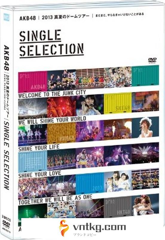 AKB48 2013 真夏のドームツアー～まだまだ、やらなきゃいけないことがある～/AKB48 【SINGLE SELECTION 2枚組DVD】