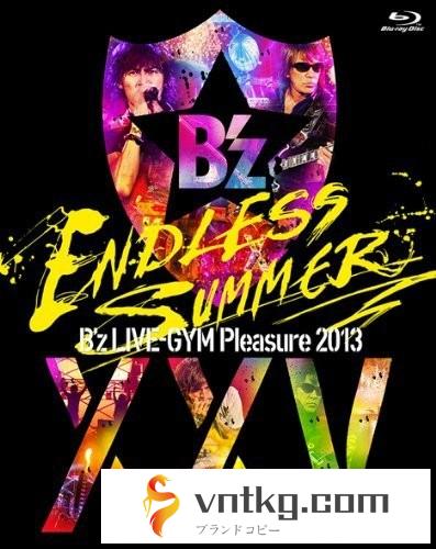 B’z LIVE-GYM Pleasure 2013 ENDLESS SUMMER-XXV BEST-/B’z （完全盤 ブルーレイディスク）
