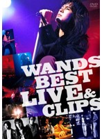 WANDS BEST LIVE＆CLIPS/WANDS