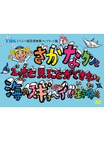 TBS どうぶつ超貴重映像コンプリート版 さかなクンと2度と見ることができない！？海のスギョ～イ！！生き物たち