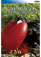 BBC ガラパゴス 2 進化論が生まれた島