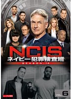 NCIS ネイビー犯罪捜査班 シーズン14 Vol.6
