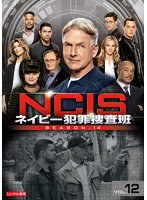 NCIS ネイビー犯罪捜査班 シーズン14 Vol.12