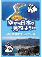 空から日本を見てみよう 23 伊豆半島をグルッと一周