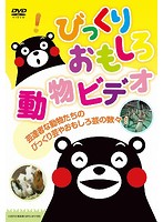 びっくりおもしろ動物ビデオ