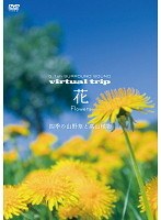 virtual trip 花 Flowers 四季の山野草と高山植物