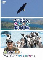 『ムツゴロウのゆかいな動物図鑑』シリーズ 「鳥たちの世界」「ペンギン～海中を飛ぶ鳥～」