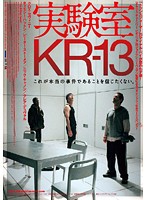 実験室KR-13