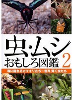虫・ムシ おもしろ図鑑 2 森に隠れるカマキリたち～世界 輝く虫たち