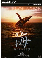 NHKスペシャル 海 知られざる世界 第5集 クジラだけが知っている