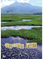 NHKスペシャル 奇跡の湿原 尾瀬