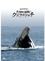 NHKスペシャル 大海原の決闘！ クジラ対シャチ