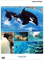 An Aquarium-水族館- 名古屋港水族館