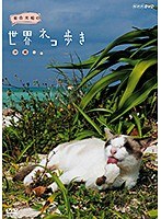岩合光昭の世界ネコ歩き 沖縄