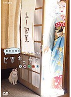 岩合光昭の世界ネコ歩きスペシャル 京都の四季