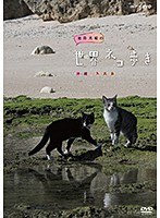 岩合光昭の世界ネコ歩き 沖縄 久高島