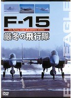 F-15 厳冬の飛行隊