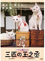 いやし猫DVD 猫侍 三匹の玉之丞