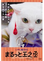 いやし猫DVD 猫侍 まるっと玉之丞